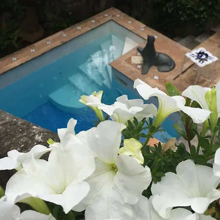 Villa Michelina *
